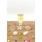 Winkee - Ice Cube Tray - Seashell / Gadgets