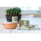 Dantoy - BIO dinner set (5604) / Toys