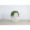 Winkee - Genius Chia Planter - Compact / Gadgets