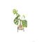 Winkee - Hydro Vase Flora / Gadgets