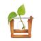 Winkee - Hydro Vases Flower Vase / Gadgets