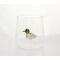 Winkee - Drinking Glasses - Handmade Duck / Gadgets