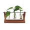 Winkee - Hydro Vases Blossom - Vase / Gadgets