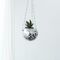 Winkee - Planter - Disco hanging planter - 10 cm / Gadgets