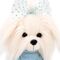 Lucky Doggy - Winter Mood Clothing / Toys