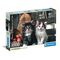 High Quality Lovely Kittens puzzle 1000pcs |  Techbox