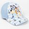 Bluey assorted cap |  Techbox