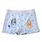 Bluey boxer swimwear