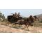 Red Dead Redemption (Code in a Box) / Nintendo Switch - Nintendo Switch Games - Games - Techbox