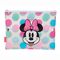 Disney Minnie beach vanity case