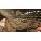 MX vs ATV Legends - 2024 (Monster Energy Supercross Edition) / PlayStation 5 | Techbox