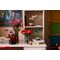 LEGO - Botanicals - Lucky Bamboo (10344) / Toys - Lego - Collectibles - Techbox