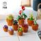 LEGO Icons - Tiny Plants (10329) / Toys - Lego - Collectibles - Techbox