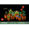 LEGO Icons - Tiny Plants (10329) / Toys - Lego - Collectibles - Techbox