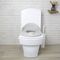 Asalvo - 3 In 1 Baby Ladder Toilet (AV-20710) / Baby and Children