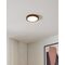 Eglo - Fueva-Z Smart Ceiling Lamp Ø21 cm – Tunable White & Dimmable / Electronics
