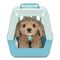 Little Live Pets - My Really Real Puppy - Curley (26612) / Toys