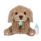 Little Live Pets - My Really Real Puppy - Curley (26612) / Toys