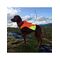 Non-Stop - Protector Vest GPS - Orange - L / Sport and Outdoor