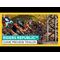 Riders Republic / PlayStation 5 - PS5 Games - Games - Techbox