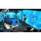 Persona 5 Royal (Remastered) / PlayStation 5 - PS5 Games - Games - Techbox