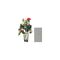 Minecraft - Biome Builds 8cm Figure - Redstone Charged Bogged (JJR87-JL10) / Toys