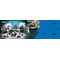 LEGO - LEGO City - Police Boat Chase (60456) / Toys - Lego - Collectibles - Techbox