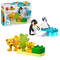 LEGO - DUPLO Town - Wild Animal Families: Penguins & Lions (10442) / Toys |  Techbox
