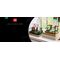 LEGO - Icons - Fountain Garden (10359). / Toys |  Techbox
