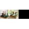 LEGO - Icons - Fountain Garden (10359). / Toys |  Techbox