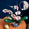 LEGO Icons - Orchid (10311) / Toys - Lego - Collectibles - Techbox
