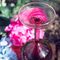 Winkee - Upside down Wine glass / Gadgets