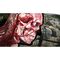 Sniper Elite 5 / PlayStation 4 | Techbox