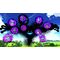 Sonic X Shadow Generations / Xbox Series X | Techbox