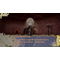 Temirana: The Lucky Princess and the Tragic Knights / Nintendo Switch - Nintendo Switch Games - Games - Techbox