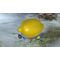 Pikmin 3 Deluxe / Nintendo Switch - Nintendo Switch Games - Games - Techbox