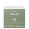 Disney Bambi jewellery box