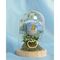 Disney Princess Cinderella florals in a clonche with neon light