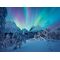 Ravensburger - Puzzle The Arctic Show 1500p (12000802) / Toys