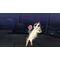 The Legend of Heroes: Trails of Cold Steel III / PlayStation 4 - PS4 Games - Games - Techbox