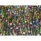 Ravensburger - Floating Market, Indonesia 500p (12001813) / Toys