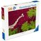 Ravensburger - Structures of Nature 500p (12001707) / Toys