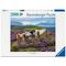 Ravensburger - Wild Horses 2000p (12001751) / Toys