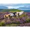 Ravensburger - Wild Horses 2000p (12001751) / Toys