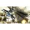 Air Missions HIND (Import) / PlayStation 4 | Techbox