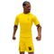 France Mike Maignan Action figure 20cm
