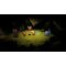 Cat Quest III / Nintendo Switch | Techbox