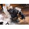 Berserk PVC Bust Zodd 15 cm |  Techbox