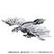 Transformers Team-Up Series Action Figure Monster Hunter Silver Rathalos Prime 13 cm |  Techbox