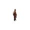 Texas Chainsaw Massacre 2003 Action Figure 1/6 Leatherface 33 cm - Statues - Collectibles - Techbox
